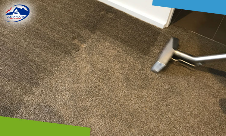 carpet-cleaning
