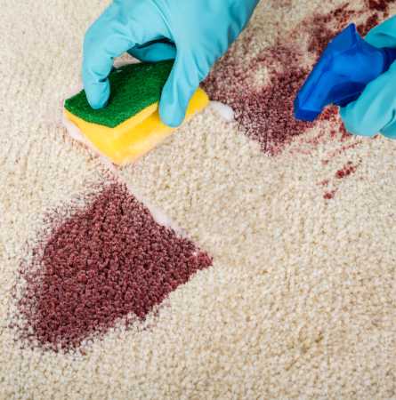NDIS Home Cleaning Services Melbourne